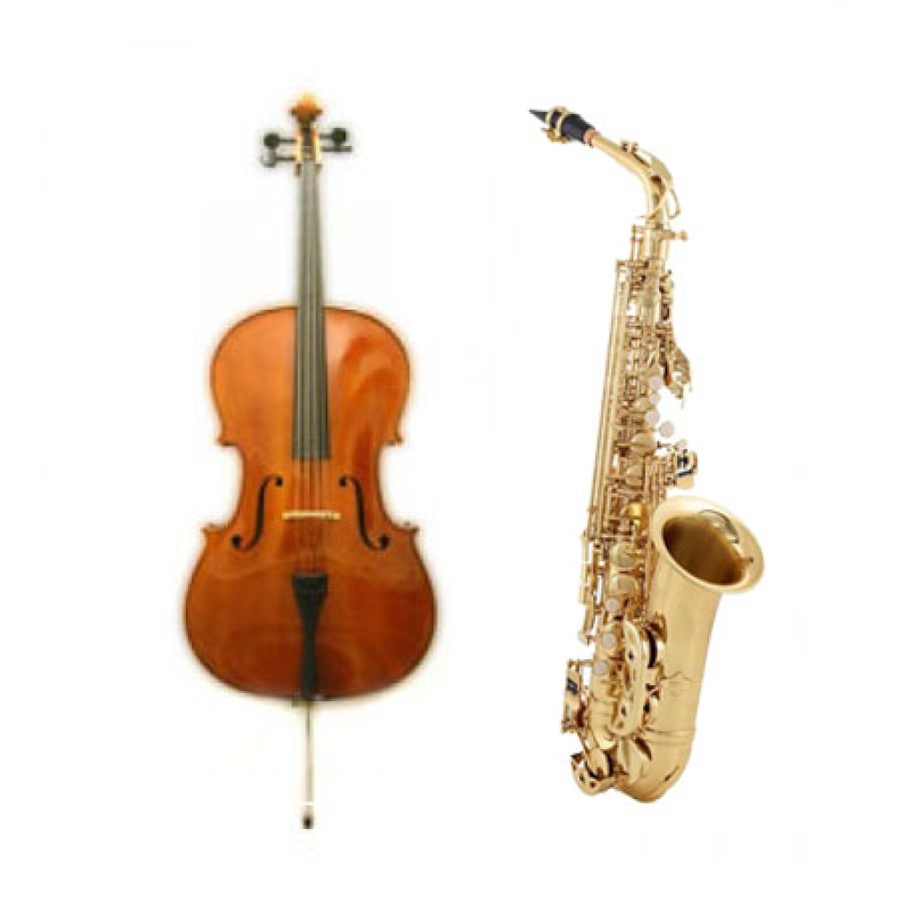 Instrumente pentru orchestra