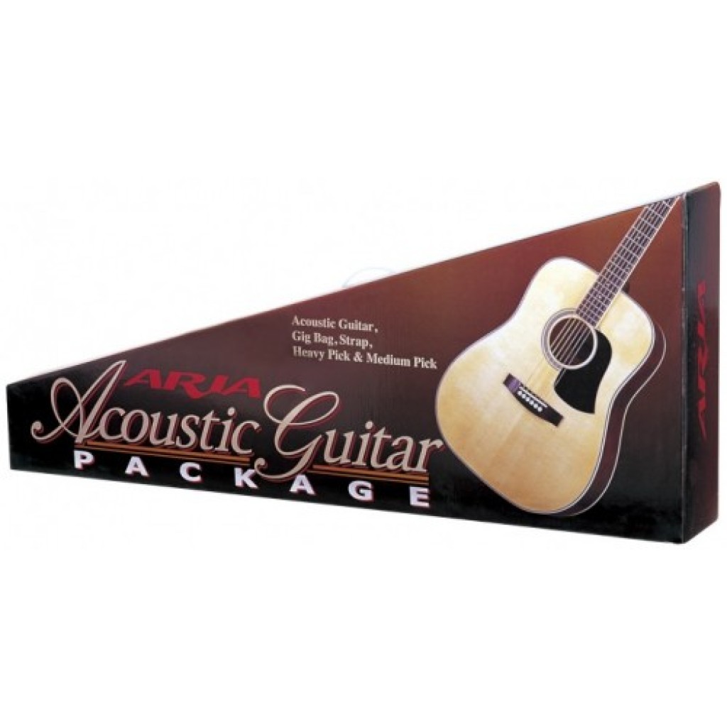 Aria AGPN-003 Acoustic Guitar Package