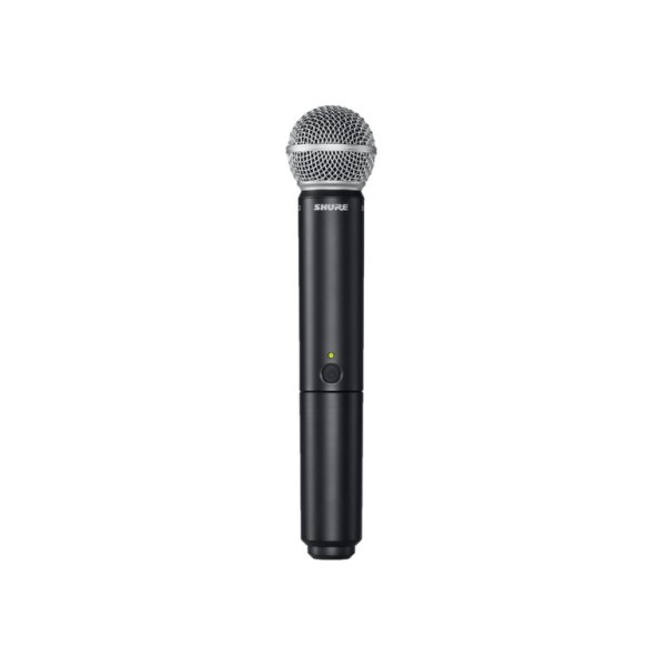 Microfoane wireless SHURE BLX288/SM58
