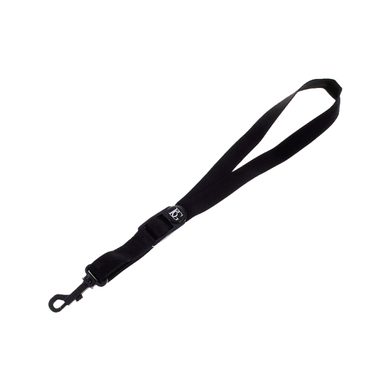 Gitar Saxofon BG S30 SH