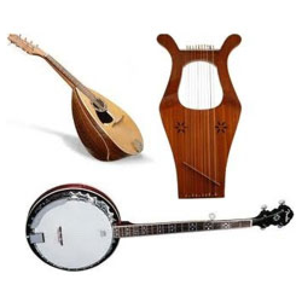 Instrumente traditionale