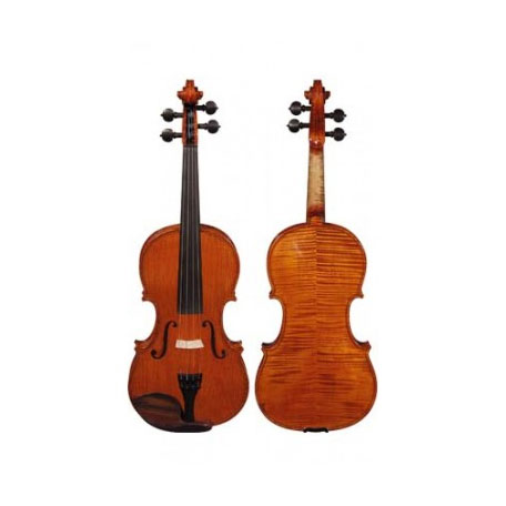 Viori si viole acustice