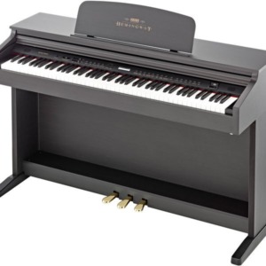 Pian Digital Hemingway DP-501 MKII RW