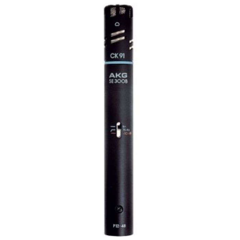 Microfon Instrument AKG C 391 B