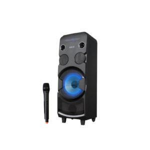 Boxa portabila 10 inch Akai ABTS-1002