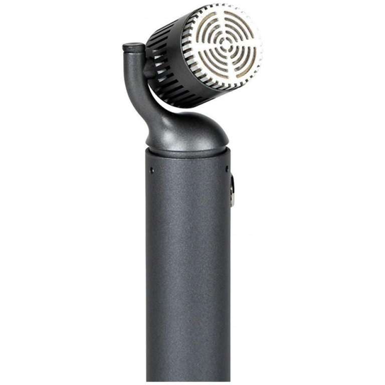 Microfon Instrumental Blue Microphones Hummingbird