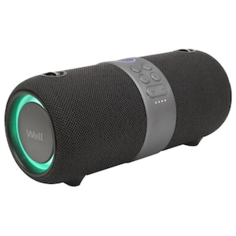 Boxa Portabila WELL, Bluetooth 5.0, USB, IPX6