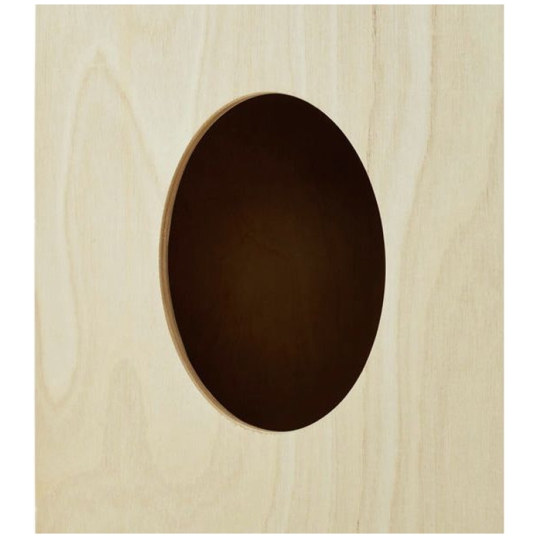 Cajon Thomann CAAS-300BM