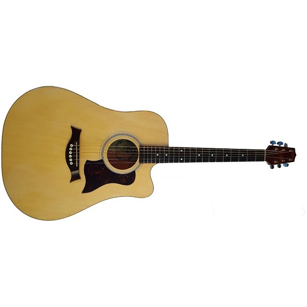Chitara Acustica Standard Western W12204 N ctw Hora