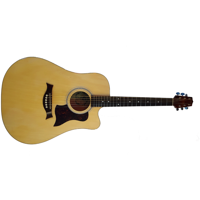 Chitara Acustica Standard Western W12204 N ctw Hora