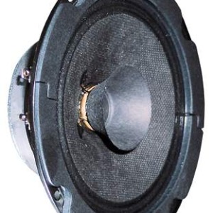 Difuzor 5 inch Visaton BG 13 P - 8 Ohm