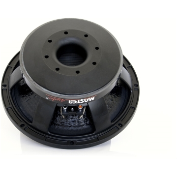 Master Audio LSN12-8, Difuzor 12 inch, 8 ohm, 500W
