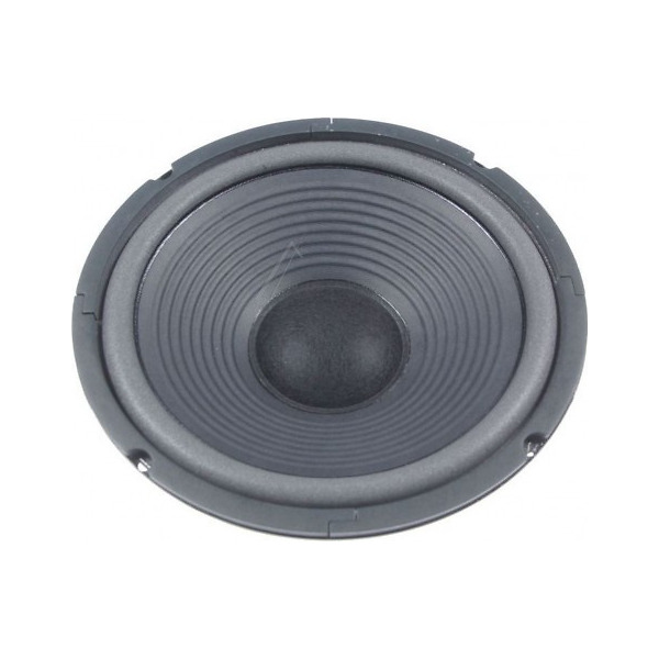 Visaton W 300