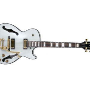 Chitara electrica Ibanez AGR73T Artcore Semi-Hollow - Ibanez
