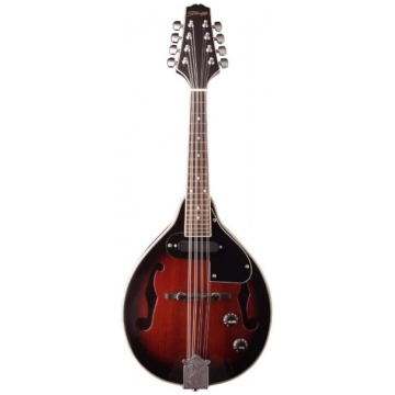 MANDOLINA STAGG M50E