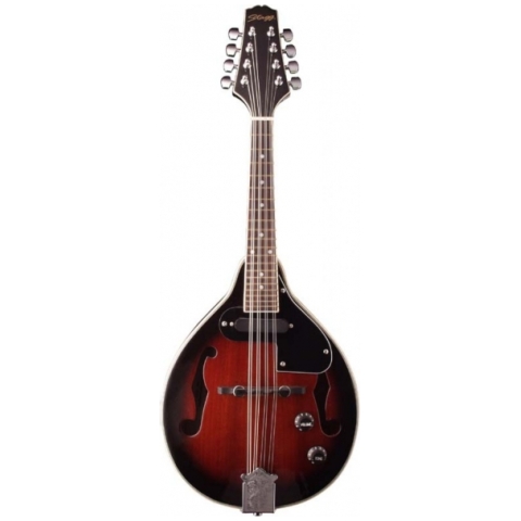 MANDOLINA STAGG M50E