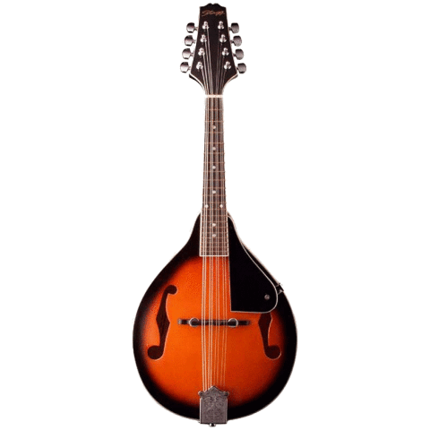MANDOLINA Stagg M20