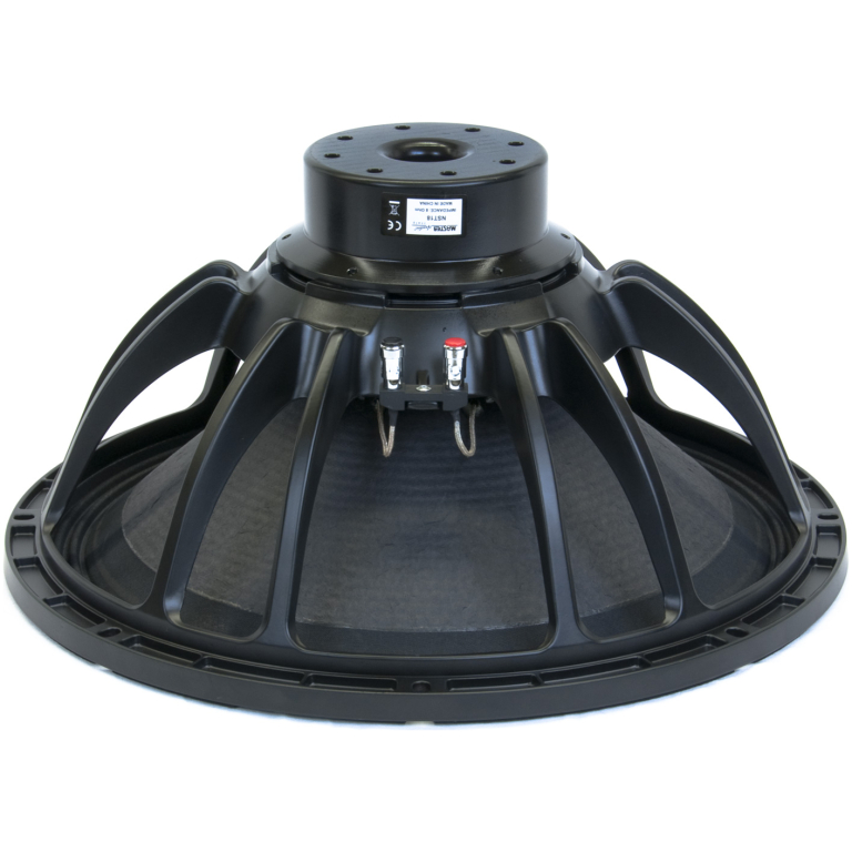 Difuzor 18 inch Neodymium Master Audio NST18