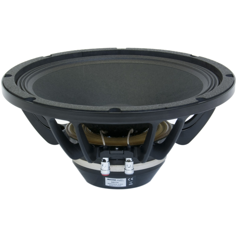 Master Audio NST12, Difuzor Neodymium 12 inch