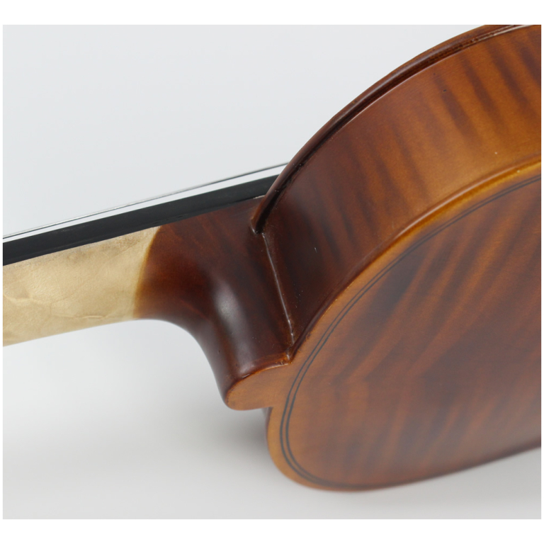 Set Vioara Acustica 4/4 Elda TL-VP02B
