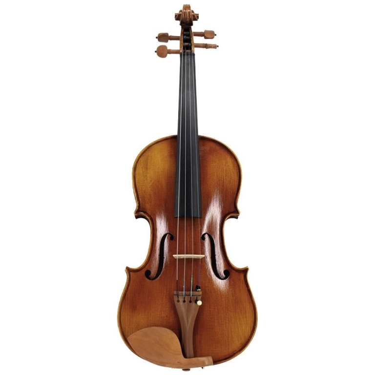 Set Vioara Profesionala 4/4 Elda TL001-4B
