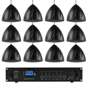 Sistem 12 boxe suspendate Power Dynamics PDS40B, Amplificator 100V, 240W, bluetooth, USB, FM