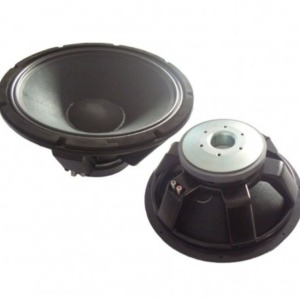 Studio-M HW460-39H, Difuzor 18 Inch 600W