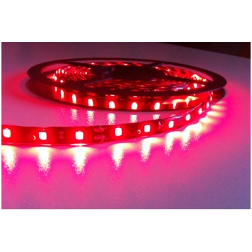 Banda Led Rosie 60/SMD