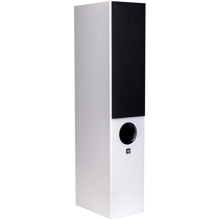 Sistem Audio Pioneer VSX534 + Wilson Raptor 5