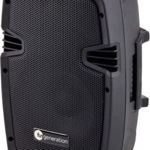 Sistem Sonorizare PUB 4.1