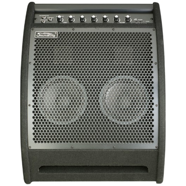 Monitor Activ Soundking DS200 