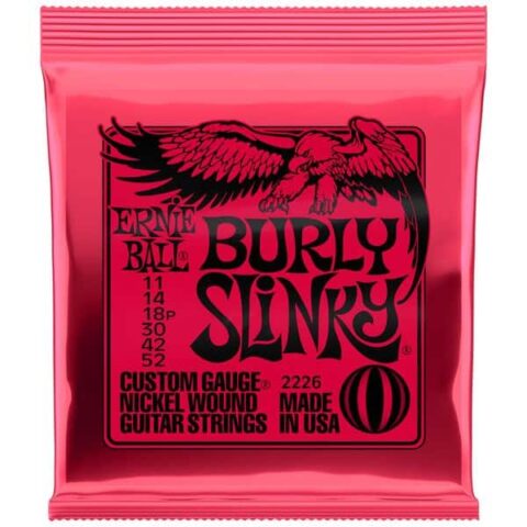 corzi chitara electrica ernie ball 2226