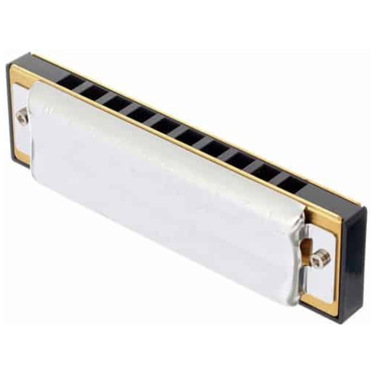 set muzicuta hohner step by step big river harp