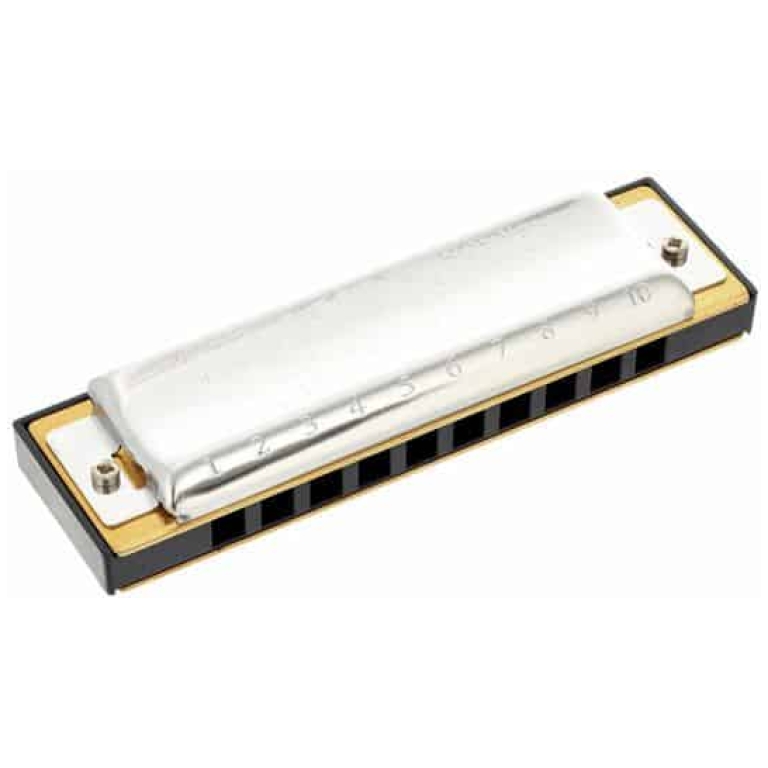 set muzicuta hohner step by step big river harp