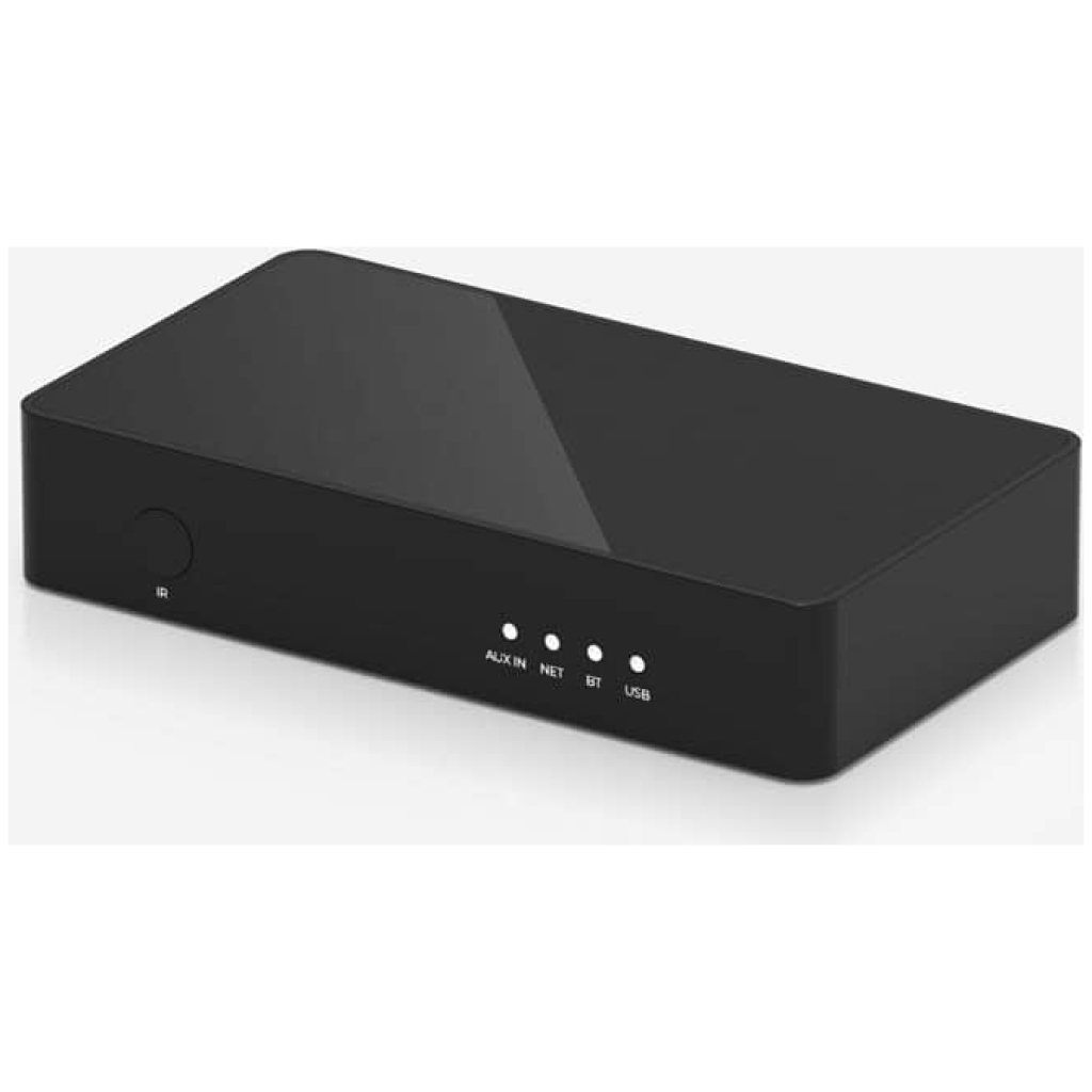 Streamer audio Arylic S10, LAN, Wi-Fi, Bluetooth