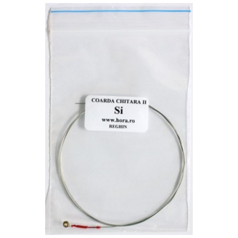 coarda chitara acustica si hora reghin