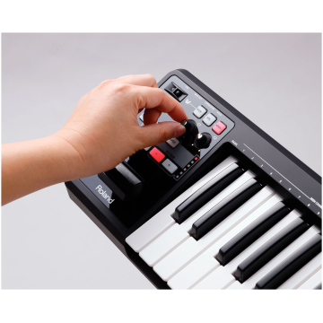 roland a49 black