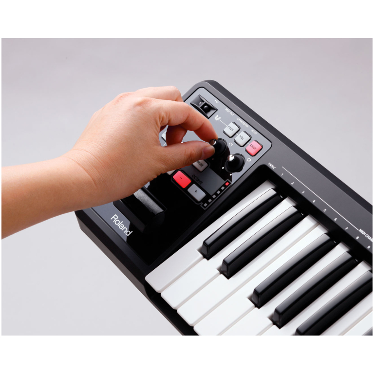 roland a49 black