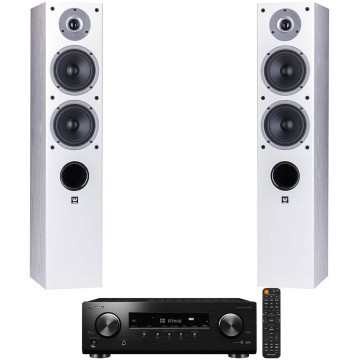 Sistem Audio Pioneer VSX534 + Wilson Raptor 5