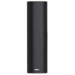 Boxa coloana 30W 100V DSPPA DSP255II Negru
