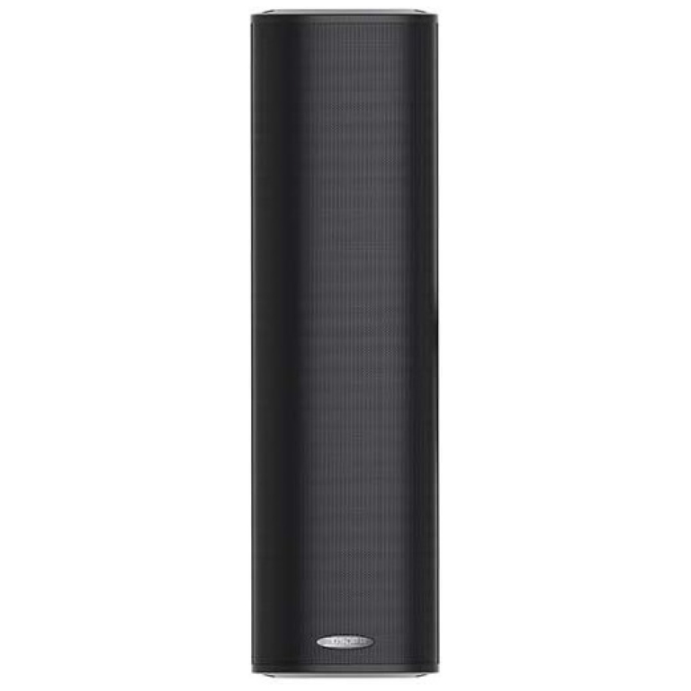 Boxa coloana 30W 100V DSPPA DSP255II Negru