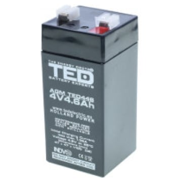 acumulator-plumb-acid-4v-46ah-ted (2)