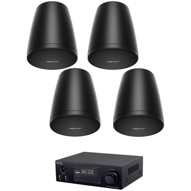Sistem Pendant Bose Freespace FS2P Negru