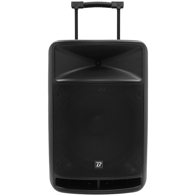 Boxa portabila cu 2 microfoane, 350W, 15 inch BT_01