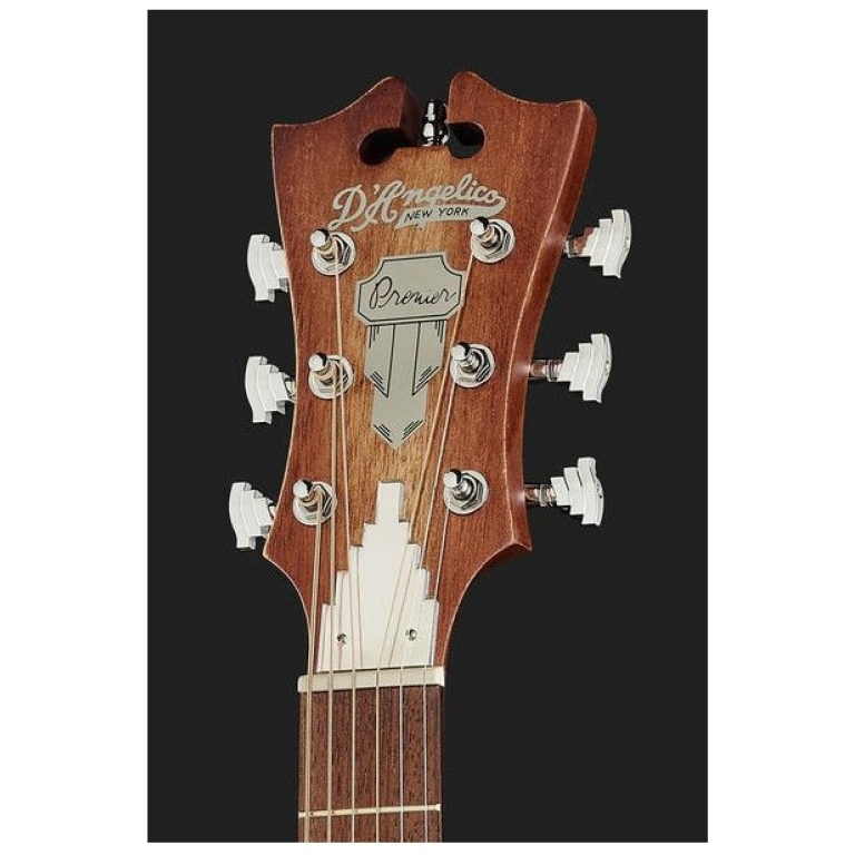 DAngelico Premier Bowery LS Aged Mah_03