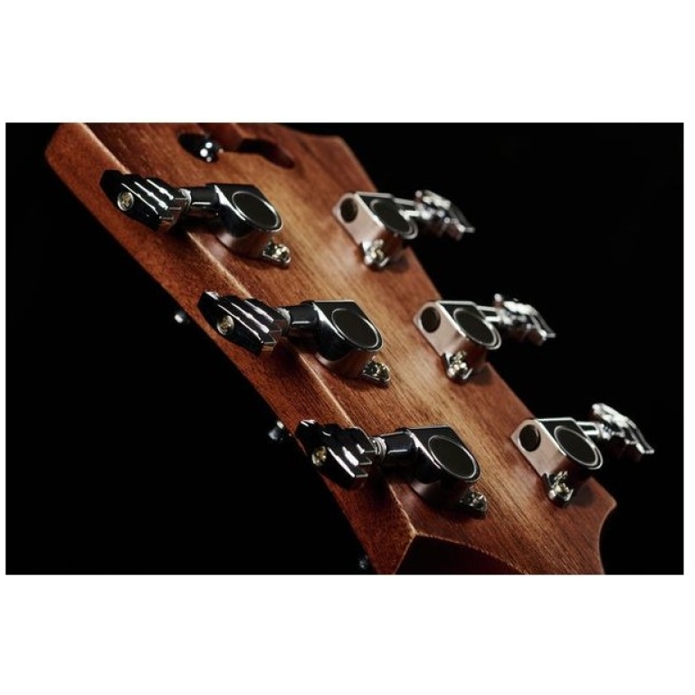 DAngelico Premier Bowery LS Aged Mah_04