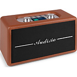 Radio FM Audizio TUNE60, 40W, Bluetooth, USB, DAB+, maro