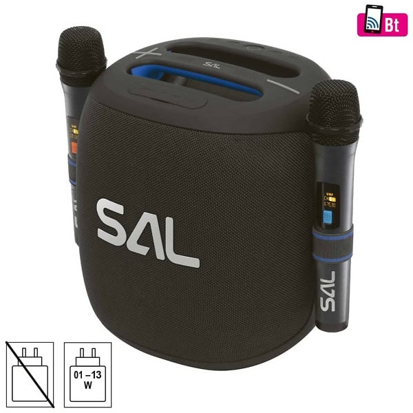 Boxa prtabila cu 2 microfoane SAL BoomBox PARCUBE