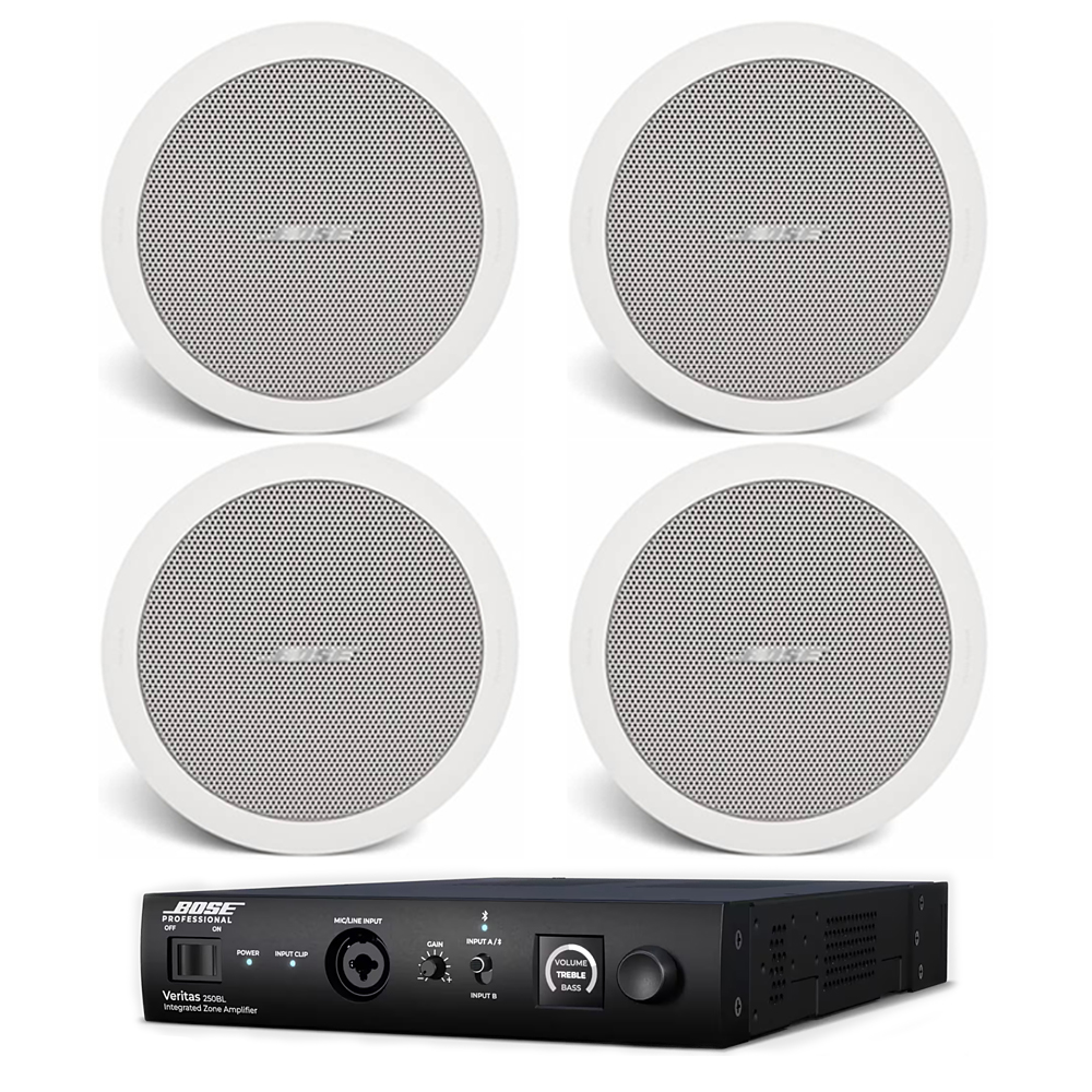 Sistem Premium Ceiling 4 Bose Veritas 250BL-FS2C, ansamblu