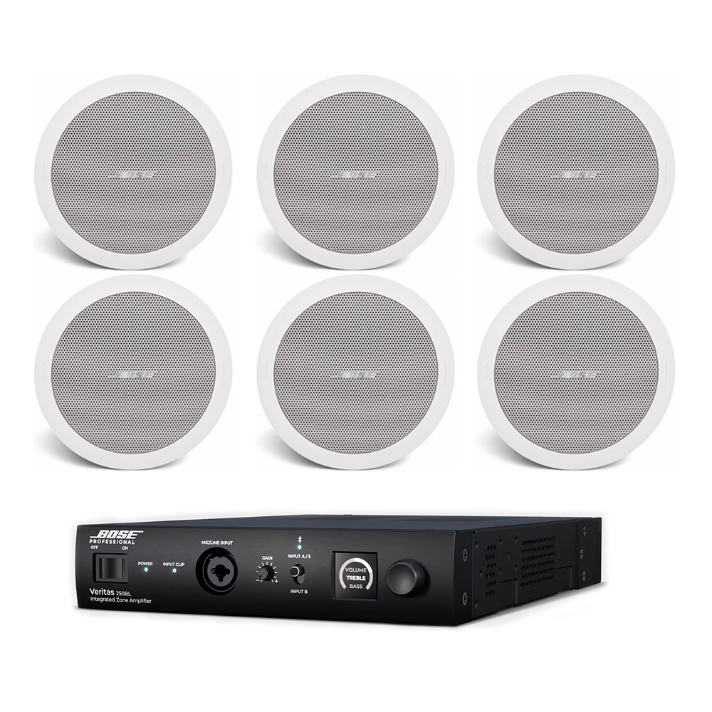 Sistem Premium Ceiling 6 Bose Veritas 250BL-FS2C